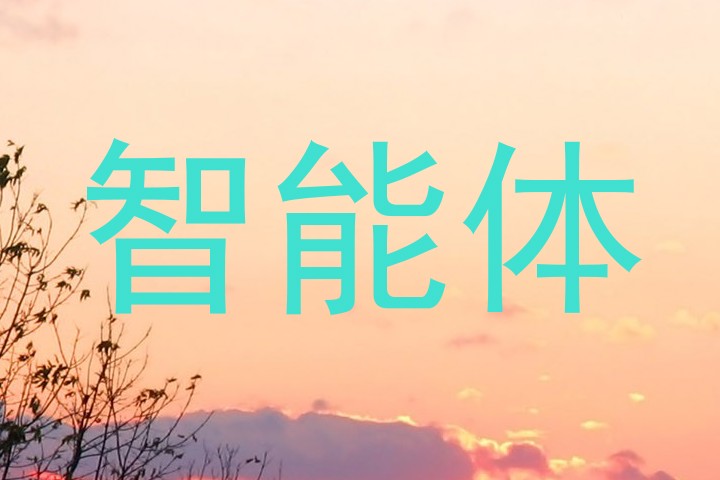 智能体