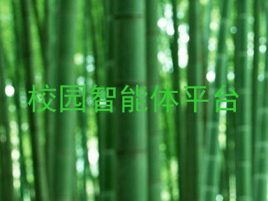 校园智能体平台