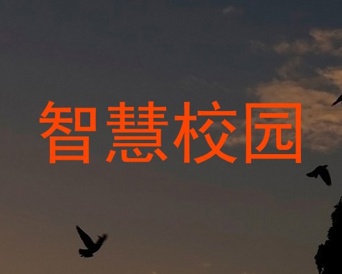 智慧校园