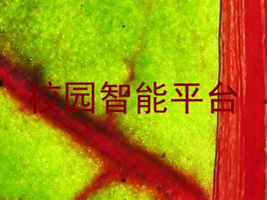 校园智能平台