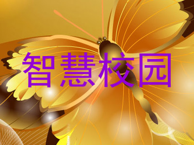 智慧校园
