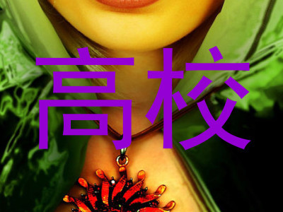 高校