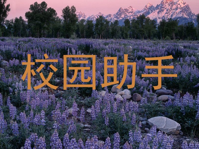 校园助手
