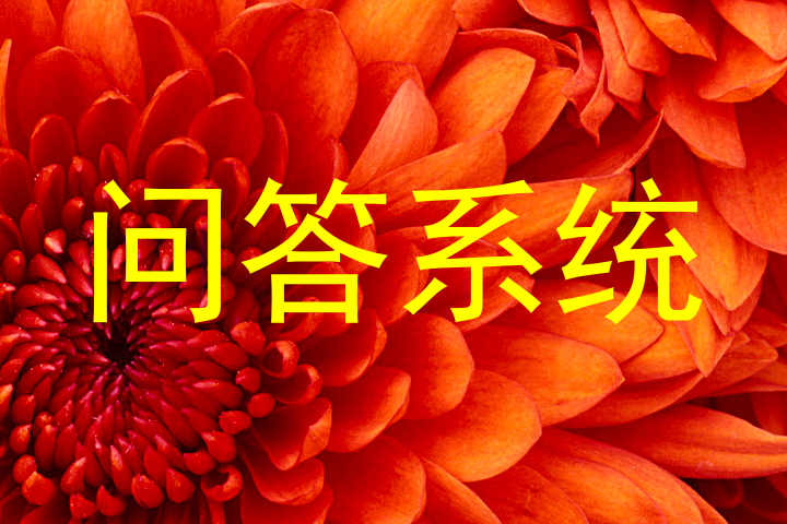 问答系统