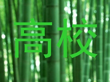 高校