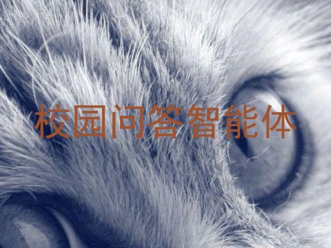 校园问答智能体