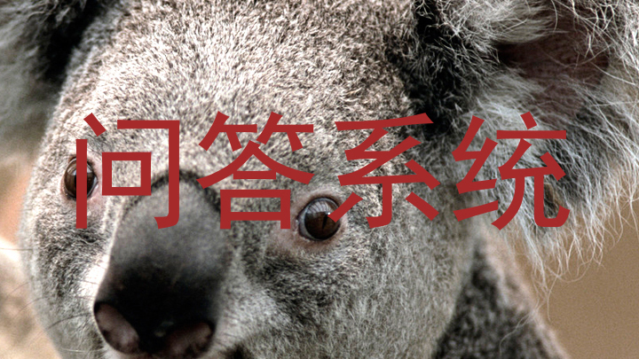 校园问答