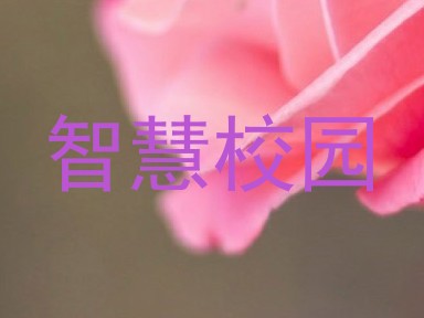 智慧校园