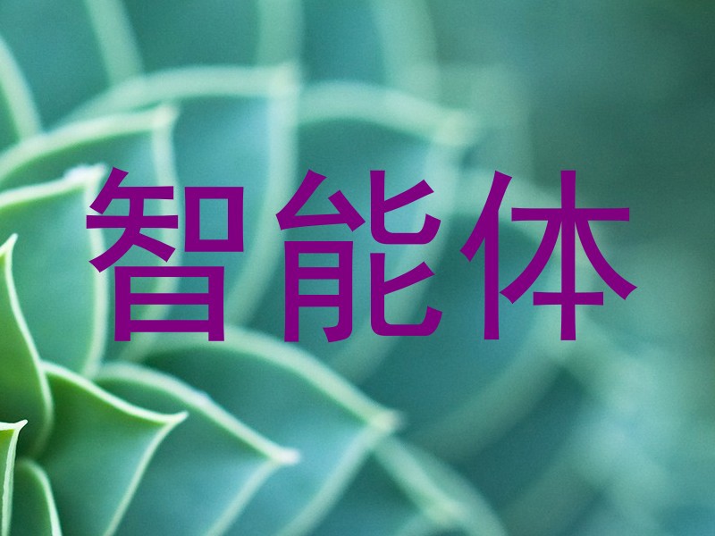 智能体