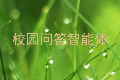 校园问答智能体
