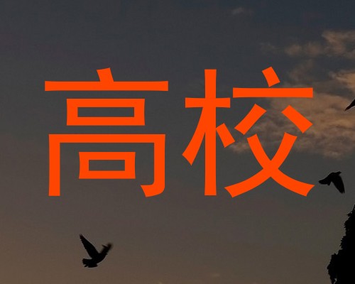 高校