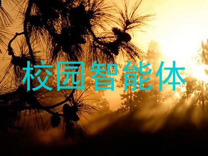 校园智能体