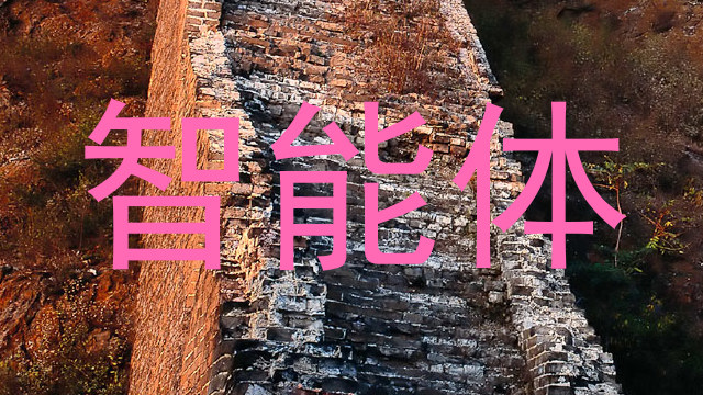 智能体