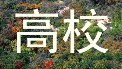 高校