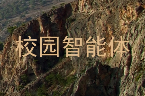 校园智能体
