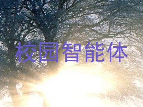 校园智能体