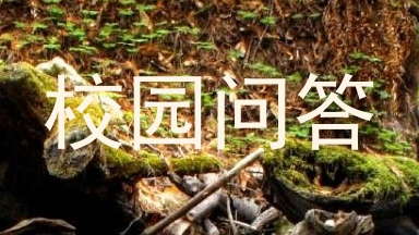 校园问答