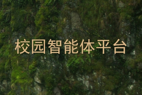 校园智能体平台