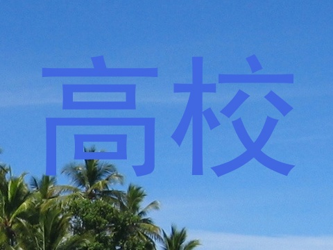 高校