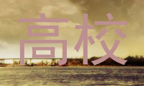 高校
