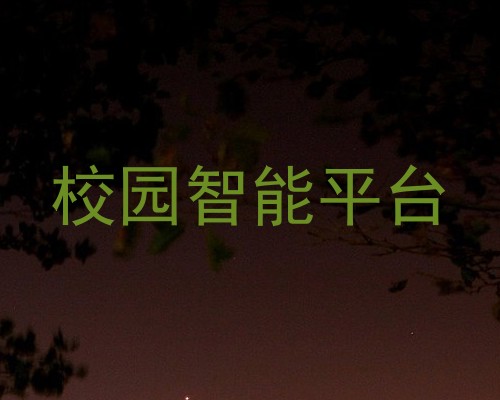 校园智能平台