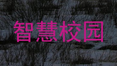 智慧校园