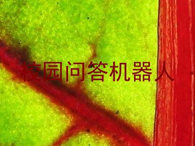 校园问答机器人