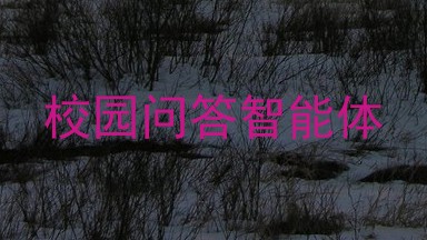 校园问答智能体