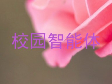 校园智能体
