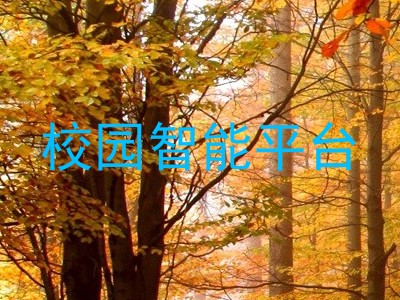 校园智能平台