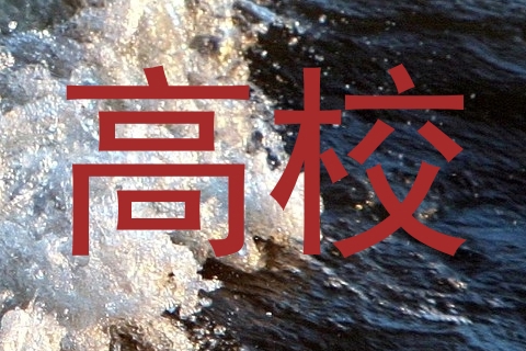 高校