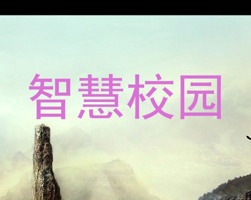 智慧校园