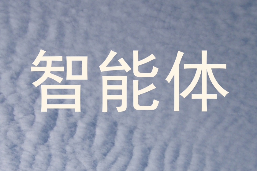 智能体