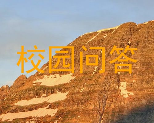 校园问答