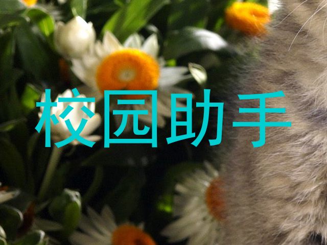 校园助手