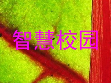智慧校园