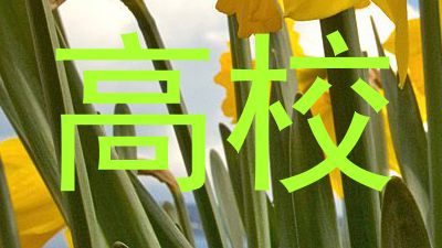 高校