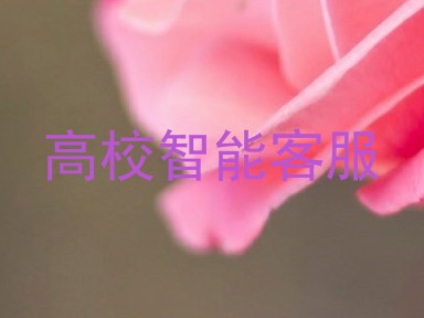 高校智能客服