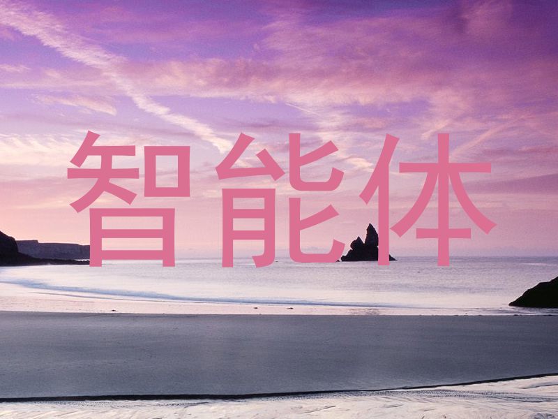智能体