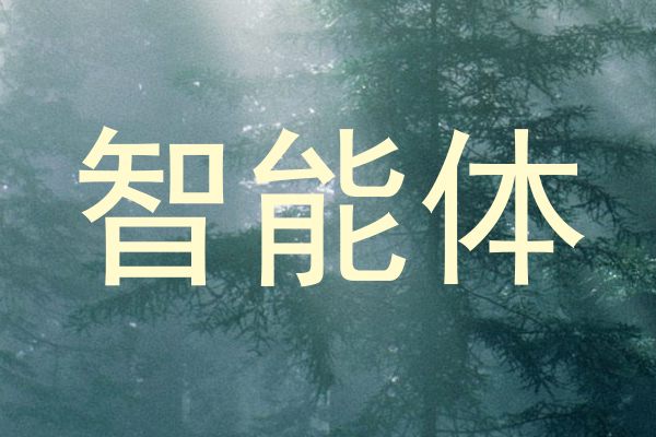智能体