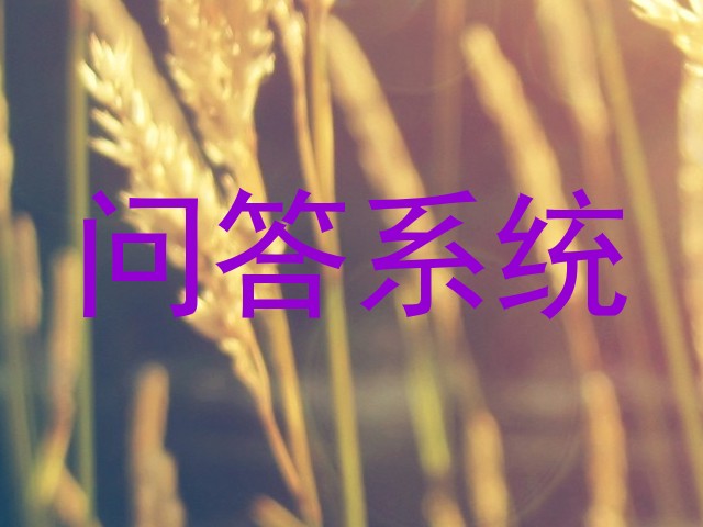 问答系统