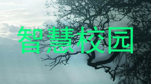智慧校园