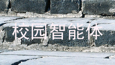 校园智能体