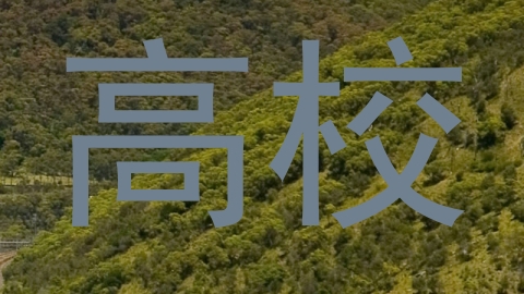 高校
