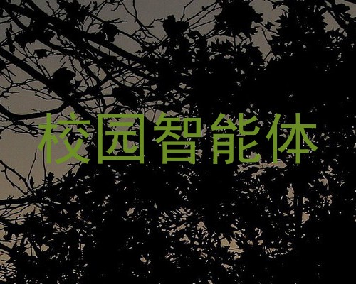 校园智能体