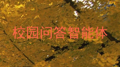 校园问答智能体
