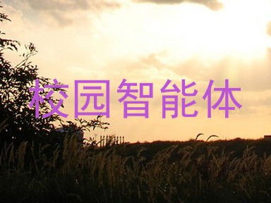 校园智能体