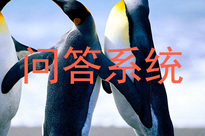 问答系统