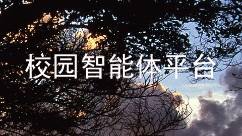 校园智能体平台