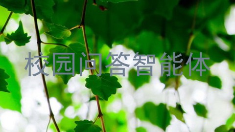 校园问答智能体